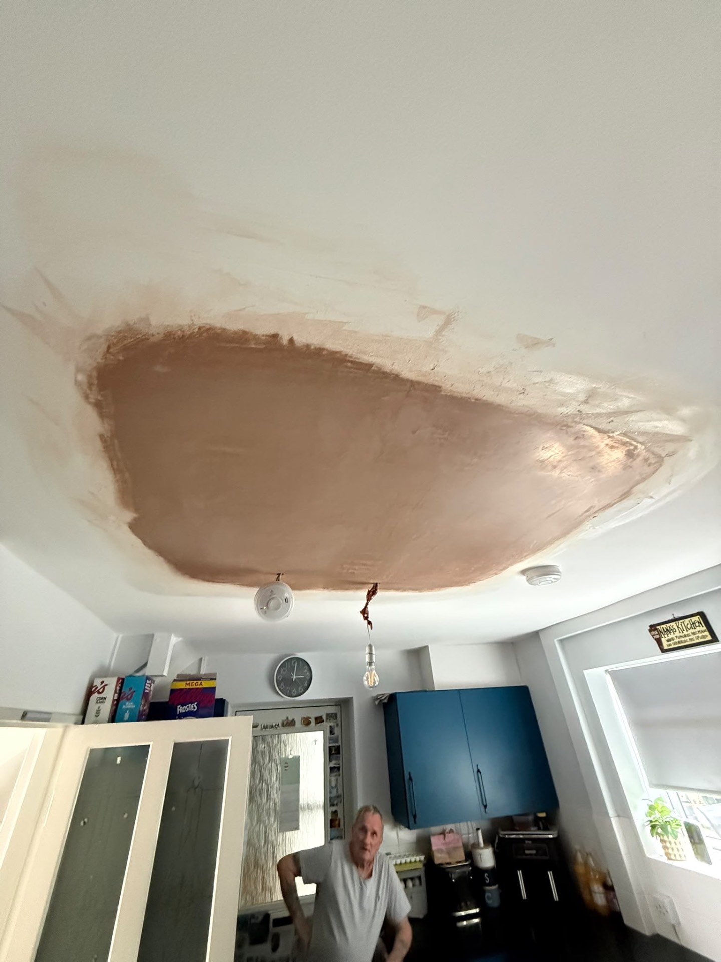 Patch repair to a plastered ceiling